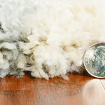 8' x 13'  Extra Soft Geometric Design Ivory and Blue Area Rug