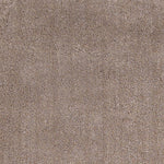 9inches x 13inches Polyester Beige Area Rug