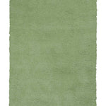 5inchesx7inches Spearmint Green Indoor Shag Rug