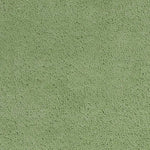 5inchesx7inches Spearmint Green Indoor Shag Rug