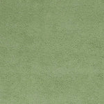 5inchesx7inches Spearmint Green Indoor Shag Rug