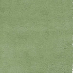 5inchesx7inches Spearmint Green Indoor Shag Rug