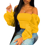 Women  Clothing  Fashion Casual Long Sleeve Multi-Color Sheer Top Women  T-shirt