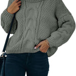 Solid Turtleneck Cable Knit Pullover Sweater