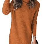 Turtleneck Long Sleeve Knitted Sweater Dress