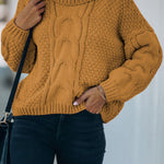 Solid Turtleneck Cable Knit Pullover Sweater