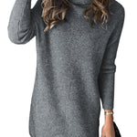 Turtleneck Long Sleeve Knitted Sweater Dress