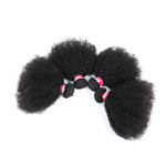 9A Brazilian Afro Kinky Curly Hair Bundles Mink Brazilian Curly Virgin Human Hair Extensions Afro Kinky Curly Weaves Gaga Queen Hair