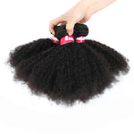 9A Brazilian Afro Kinky Curly Hair Bundles Mink Brazilian Curly Virgin Human Hair Extensions Afro Kinky Curly Weaves Gaga Queen Hair